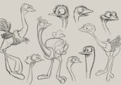 Ostriches
